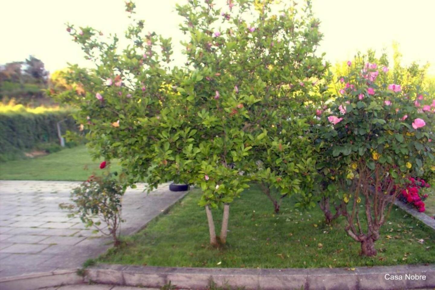 Retiro Na Natureza Casa Com Piscina Digueifel المظهر الخارجي الصورة